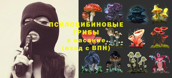 молекула духа Армянск
